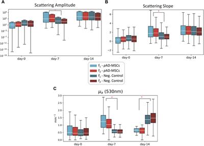 MicroRNA-155 mediates multiple gene regulations pertinent to the role of human adipose-derived mesenchymal stem cells in skin regeneration